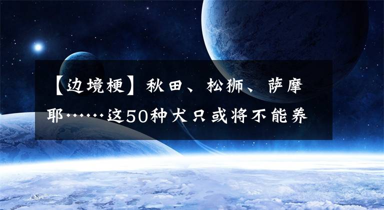 【边境梗】秋田、松狮、萨摩耶……这50种犬只或将不能养！看看有没有你家狗狗？