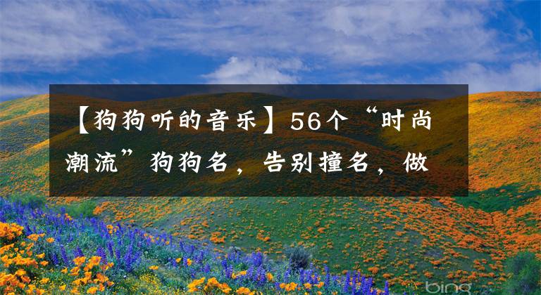 【狗狗听的音乐】56个“时尚潮流”狗狗名，告别撞名，做最潮的狗狗