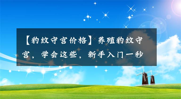 【豹纹守宫价格】养殖豹纹守宫，学会这些，新手入门一秒变大神！