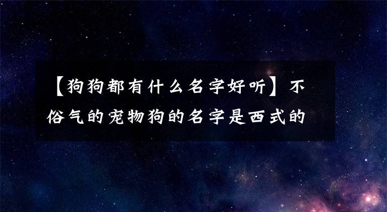 【狗狗都有什么名字好听】不俗气的宠物狗的名字是西式的，很好听-可爱