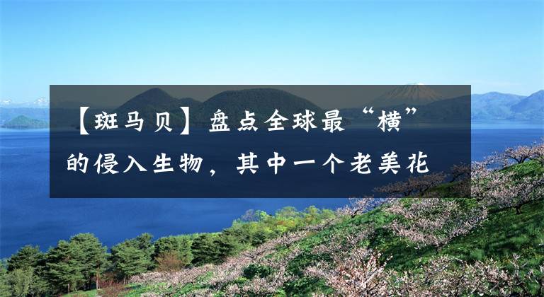 【斑马贝】盘点全球最“横”的侵入生物，其中一个老美花了30亿才勉强搞定！