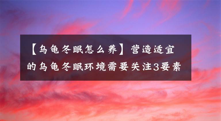 【乌龟冬眠怎么养】营造适宜的乌龟冬眠环境需要关注3要素：温度、湿度和安全