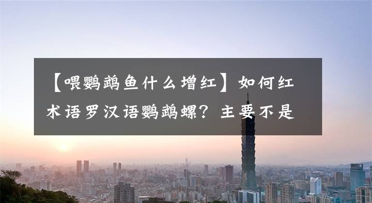 【喂鹦鹉鱼什么增红】如何红术语罗汉语鹦鹉螺？主要不是用红灯，而是要做好这件事