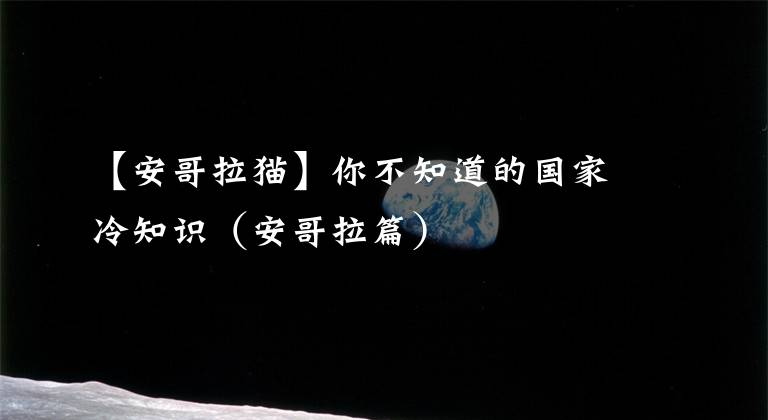 【安哥拉猫】你不知道的国家冷知识（安哥拉篇）