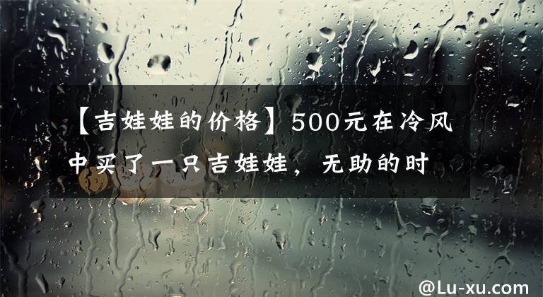 【吉娃娃的价格】500元在冷风中买了一只吉娃娃，无助的时候是它温暖了我！