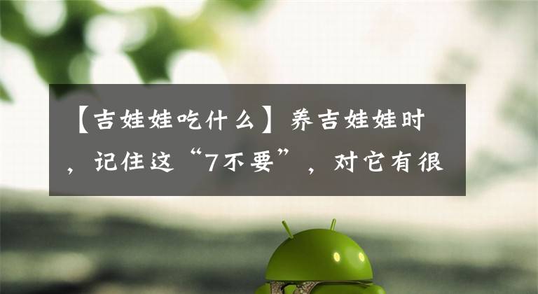 【吉娃娃吃什么】养吉娃娃时，记住这“7不要”，对它有很大益处