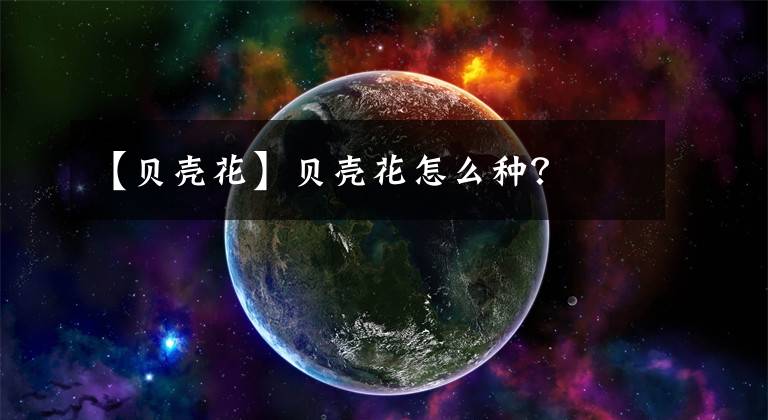 【贝壳花】贝壳花怎么种？