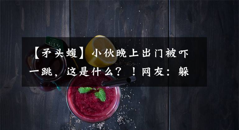 【矛头蝮】小伙晚上出门被吓一跳，这是什么？！网友：躲远点就对了