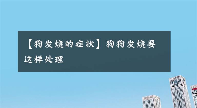 【狗发烧的症状】狗狗发烧要这样处理