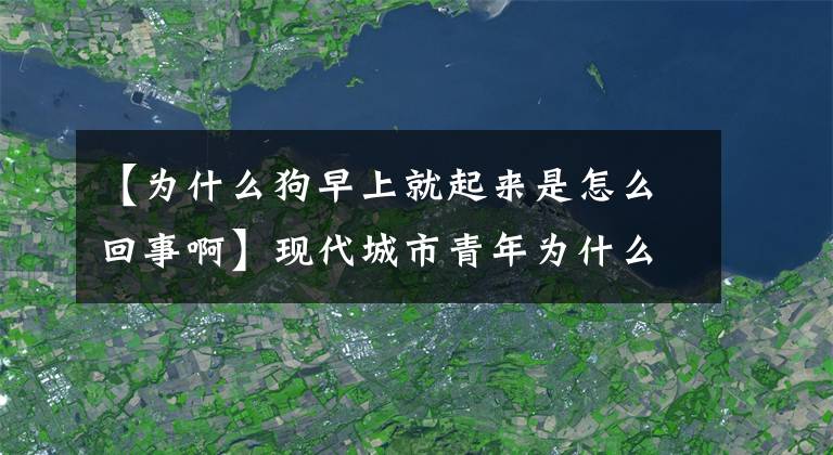 【为什么狗早上就起来是怎么回事啊】现代城市青年为什么喜欢养宠物？专家分析