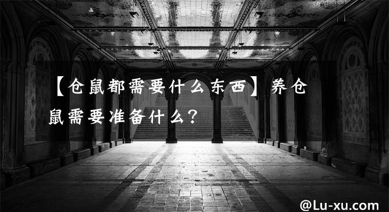 【仓鼠都需要什么东西】养仓鼠需要准备什么？