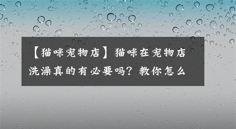 【猫咪宠物店】猫咪在宠物店洗澡真的有必要吗？教你怎么在家洗出宠物店的效果