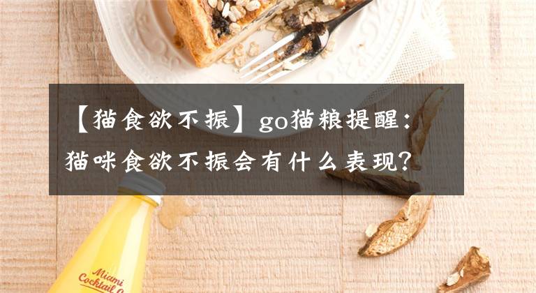 【猫食欲不振】go猫粮提醒：猫咪食欲不振会有什么表现？