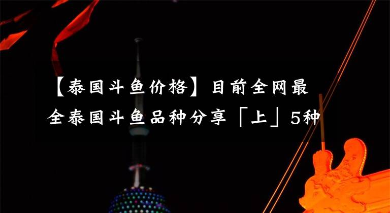 【泰国斗鱼价格】目前全网最全泰国斗鱼品种分享「上」5种泰国原生斗鱼介绍