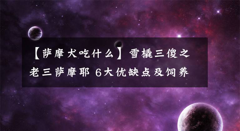 【萨摩犬吃什么】雪橇三傻之老三萨摩耶 6大优缺点及饲养攻略 新手铲屎官必读