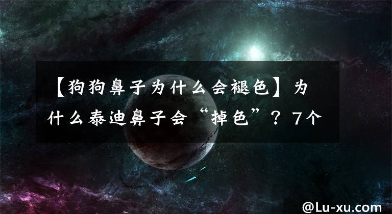 【狗狗鼻子为什么会褪色】为什么泰迪鼻子会“掉色”？7个原因告诉你，请做好预防