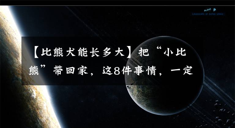 【比熊犬能长多大】把“小比熊”带回家，这8件事情，一定要注意