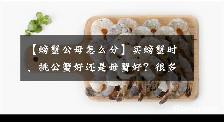 【螃蟹公母怎么分】买螃蟹时，挑公蟹好还是母蟹好？很多人挑错了，难怪吃得满嘴油