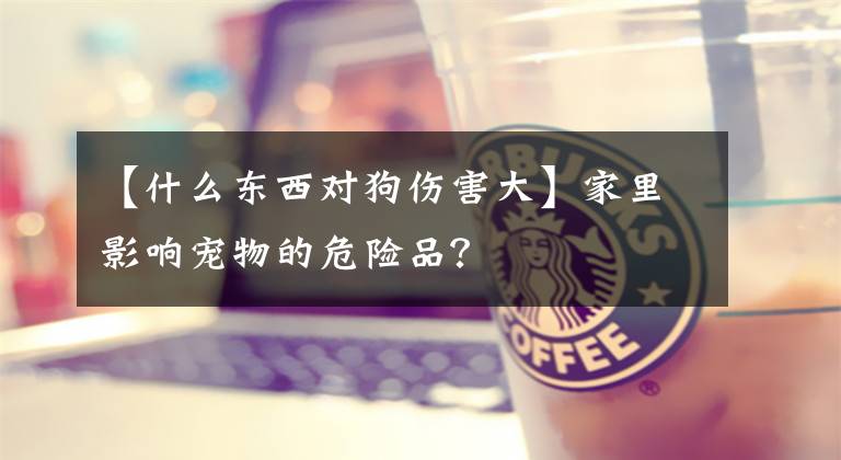 【什么东西对狗伤害大】家里影响宠物的危险品？文章配图