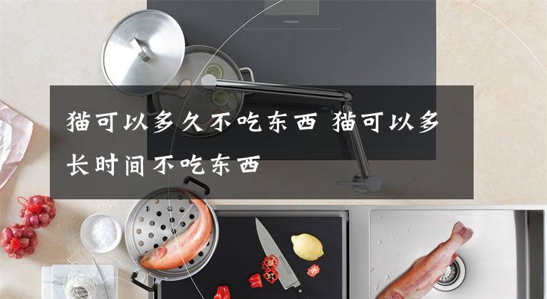 猫可以多久不吃东西 猫可以多长时间不吃东西文章配图