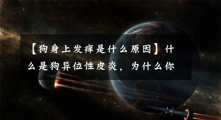 【狗身上发痒是什么原因】什么是狗异位性皮炎，为什么你家的狗总是皮肤痒，一篇文章告诉你？