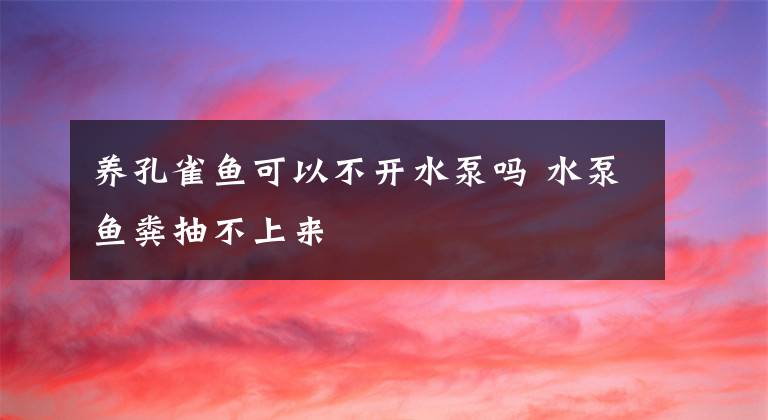 养孔雀鱼可以不开水泵吗 水泵鱼粪抽不上来