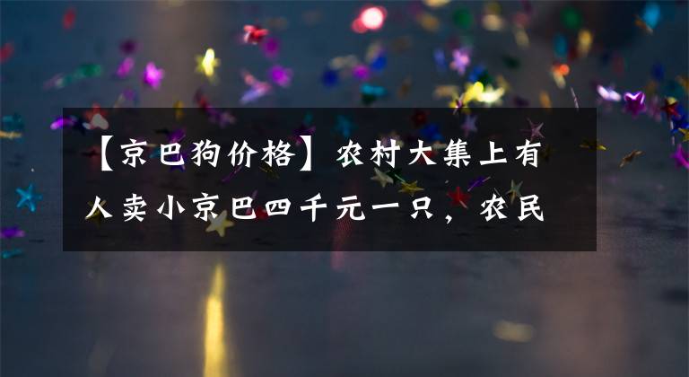 【京巴狗价格】农村大集上有人卖小京巴四千元一只，农民大叔说买它干嘛