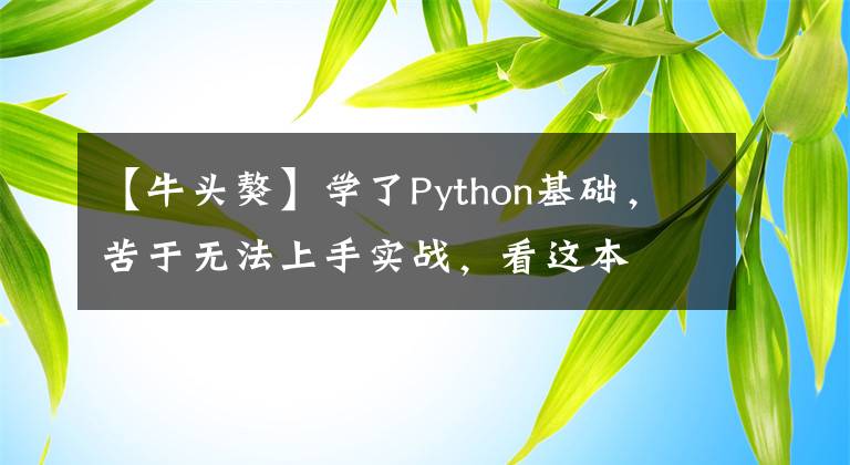 【牛头獒】学了Python基础，苦于无法上手实战，看这本