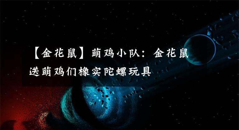 【金花鼠】萌鸡小队：金花鼠送萌鸡们橡实陀螺玩具