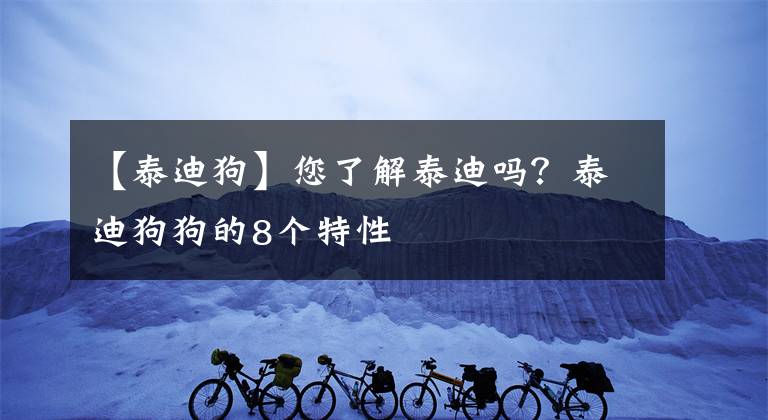 【泰迪狗】您了解泰迪吗？泰迪狗狗的8个特性