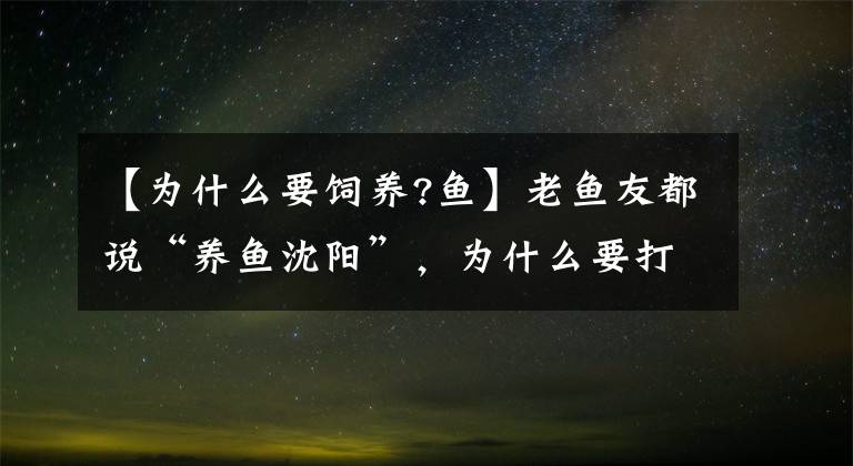 【为什么要饲养?鱼】老鱼友都说“养鱼沈阳”，为什么要打水？应该怎么养水？