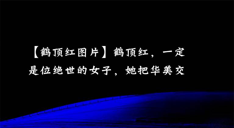 【鹤顶红图片】鹤顶红，一定是位绝世的女子，她把华美交给你，同时也把毒交给你