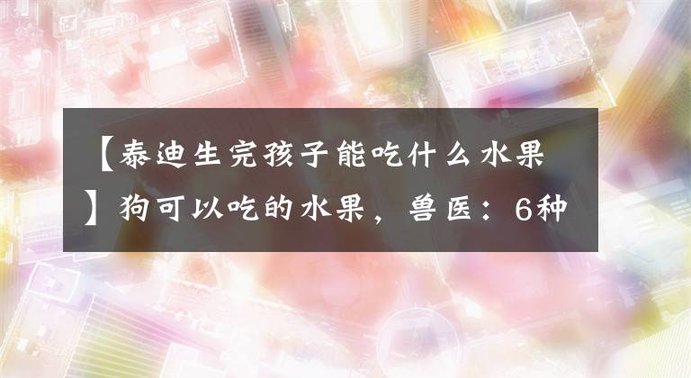 【泰迪生完孩子能吃什么水果】狗可以吃的水果，兽医：6种对狗友好的常见水果。