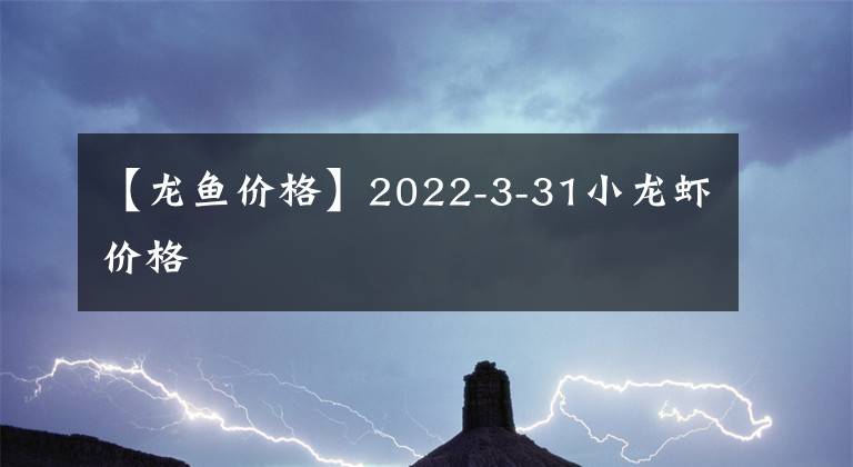 【龙鱼价格】2022-3-31小龙虾价格