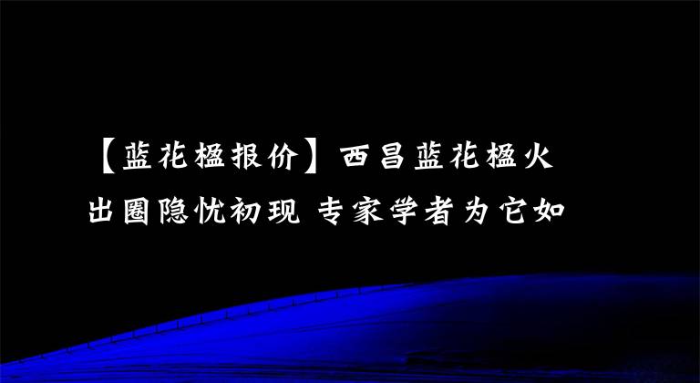 【蓝花楹报价】西昌蓝花楹火出圈隐忧初现 专家学者为它如何“生长”开了个座谈会