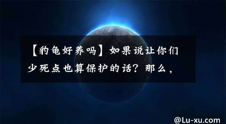 【豹龟好养吗】如果说让你们少死点也算保护的话？那么，陆龟饲养小细节