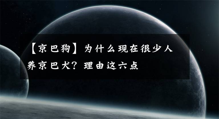 【京巴狗】为什么现在很少人养京巴犬？理由这六点