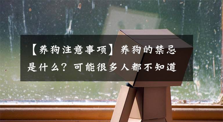 【养狗注意事项】养狗的禁忌是什么？可能很多人都不知道，我来为你解答一下