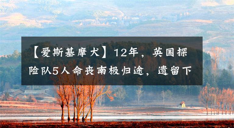 【爱斯基摩犬】12年，英国探险队5人命丧南极归途，遗留下的日记本披露遇难细节