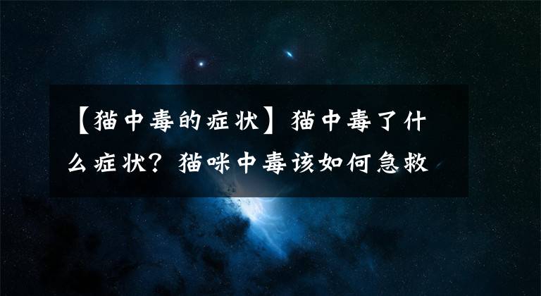 【猫中毒的症状】猫中毒了什么症状？猫咪中毒该如何急救？铲屎官必备知识