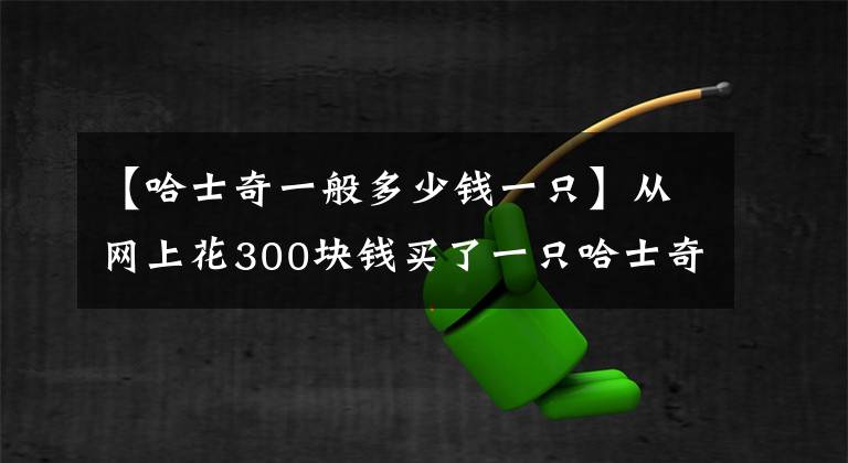 【哈士奇一般多少钱一只】从网上花300块钱买了一只哈士奇，收到货后才知被骗惨了！