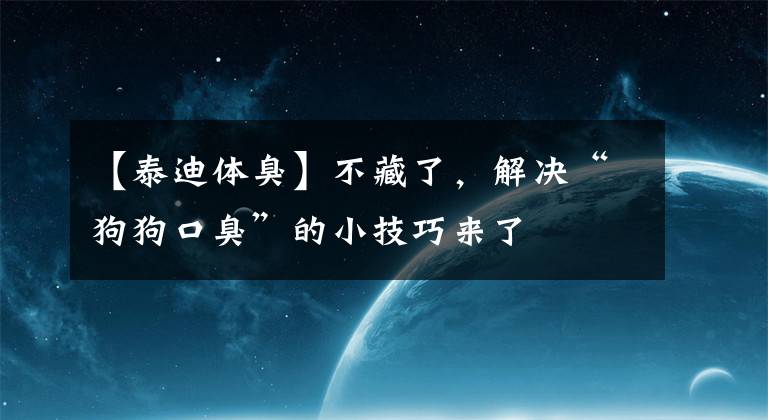 【泰迪体臭】不藏了，解决“狗狗口臭”的小技巧来了