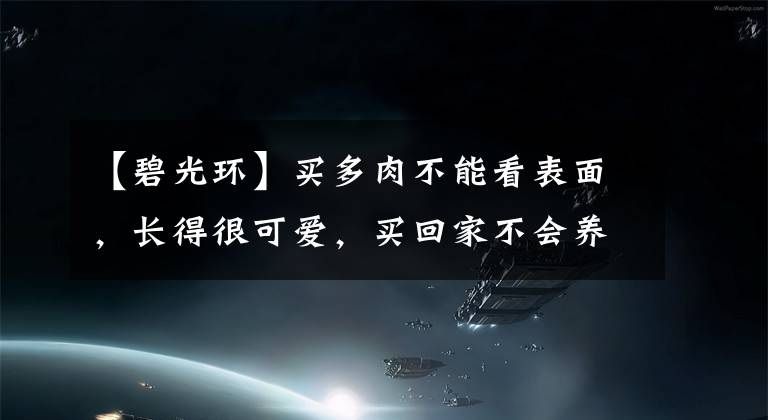 【碧光环】买多肉不能看表面，长得很可爱，买回家不会养，一养就残废