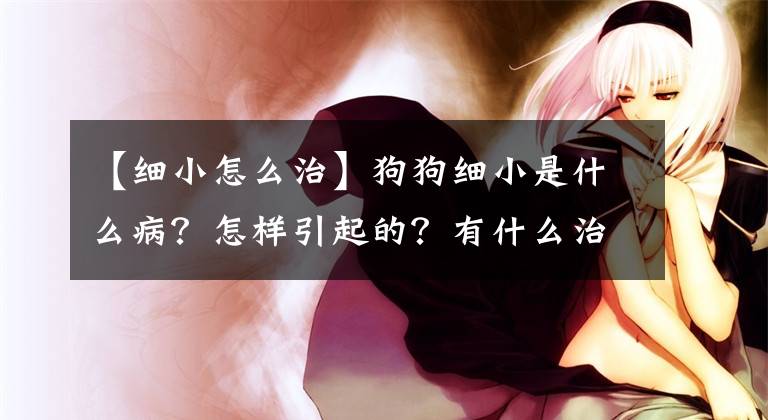 【细小怎么治】狗狗细小是什么病？怎样引起的？有什么治疗办法？