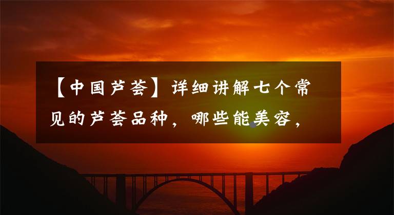 【中国芦荟】详细讲解七个常见的芦荟品种，哪些能美容，哪些能药用