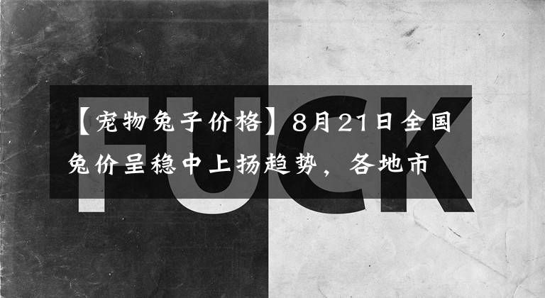 【宠物兔子价格】8月21日全国兔价呈稳中上扬趋势，各地市场缺兔明显，但涨势趋缓