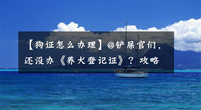 【狗证怎么办理】@铲屎官们，还没办《养犬登记证》？攻略在此→