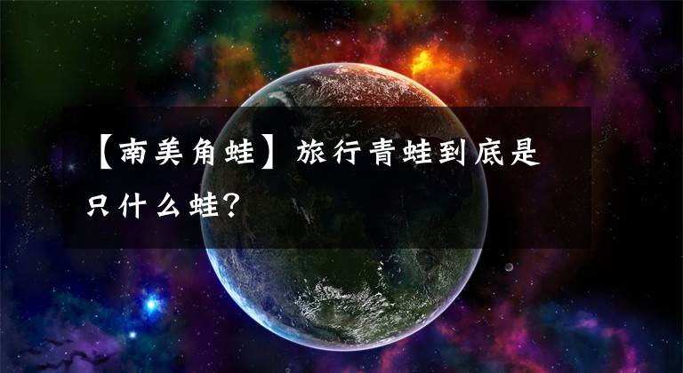 【南美角蛙】旅行青蛙到底是只什么蛙？