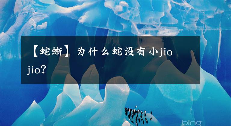 【蛇蜥】为什么蛇没有小jio jio？