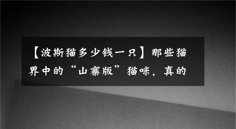 【波斯猫多少钱一只】那些猫界中的“山寨版”猫咪，真的没忍住，看一次笑一次